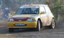 Rallycards joins forces with Wellman Rallying